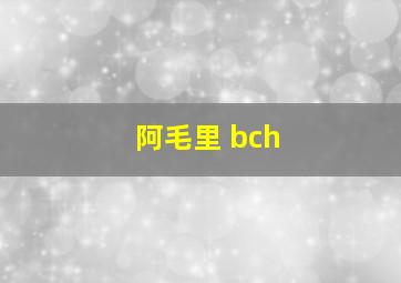 阿毛里 bch